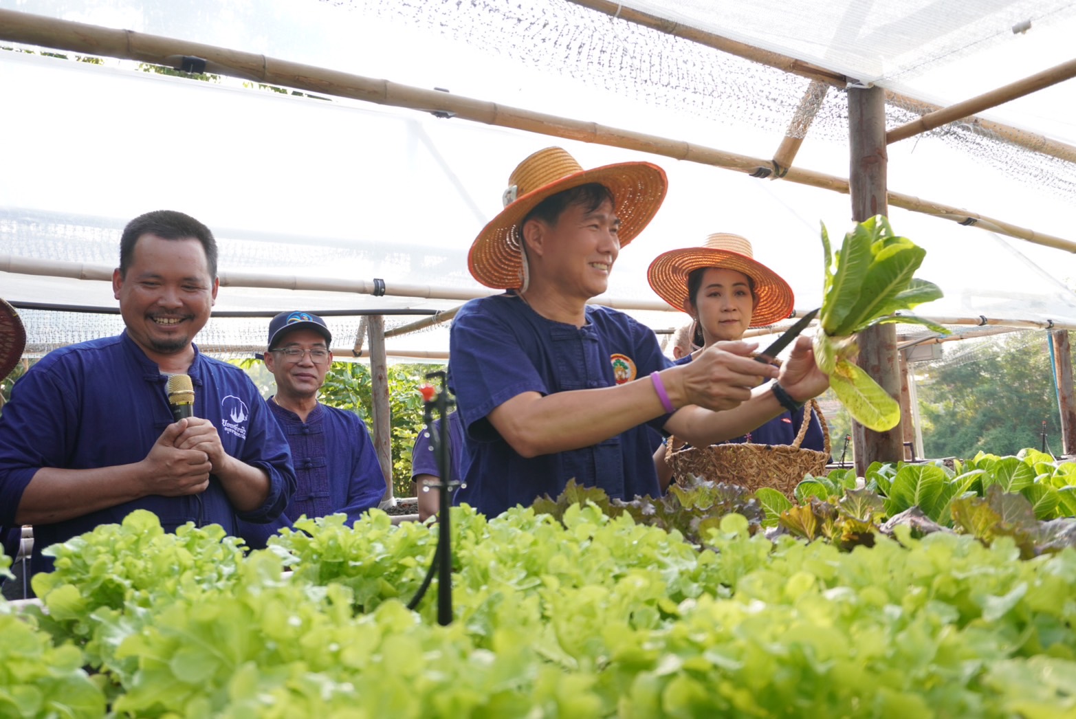 จังหวัดพระนครศรีอยุธยา ขับเคลื่อนงานสร้างความมั่นคงทางอาหาร “ปลูกผัก ปลูกรัก กับพช.อยุธยา”