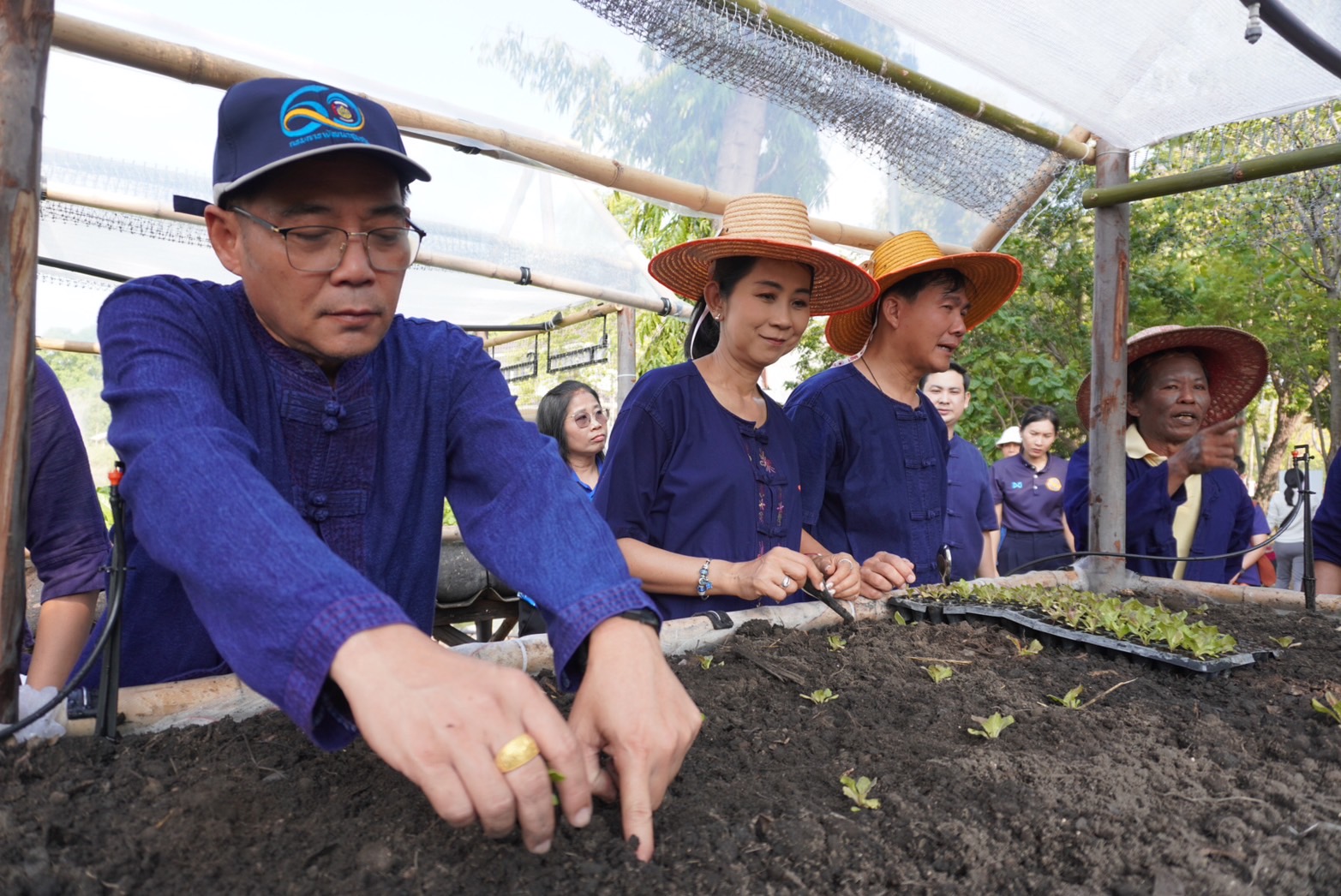 จังหวัดพระนครศรีอยุธยา ขับเคลื่อนงานสร้างความมั่นคงทางอาหาร “ปลูกผัก ปลูกรัก กับพช.อยุธยา”