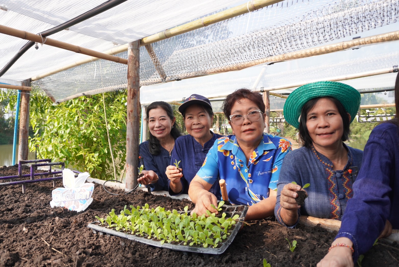 จังหวัดพระนครศรีอยุธยา ขับเคลื่อนงานสร้างความมั่นคงทางอาหาร “ปลูกผัก ปลูกรัก กับพช.อยุธยา”
