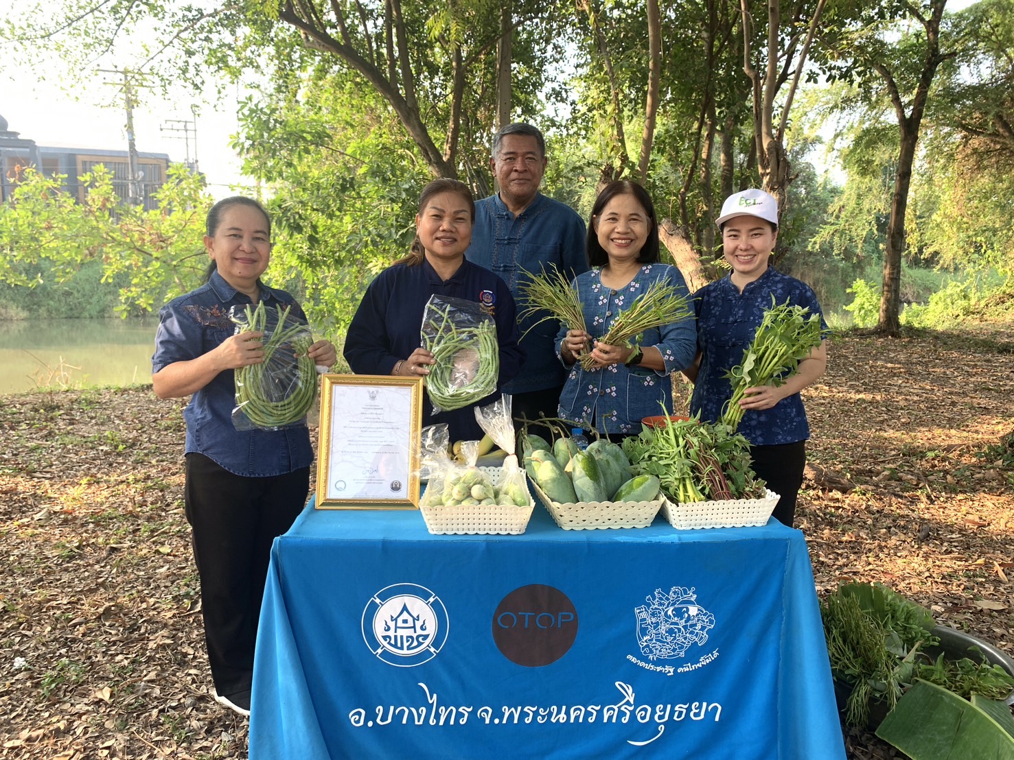 จังหวัดพระนครศรีอยุธยา ขับเคลื่อนงานสร้างความมั่นคงทางอาหาร “ปลูกผัก ปลูกรัก กับพช.อยุธยา”