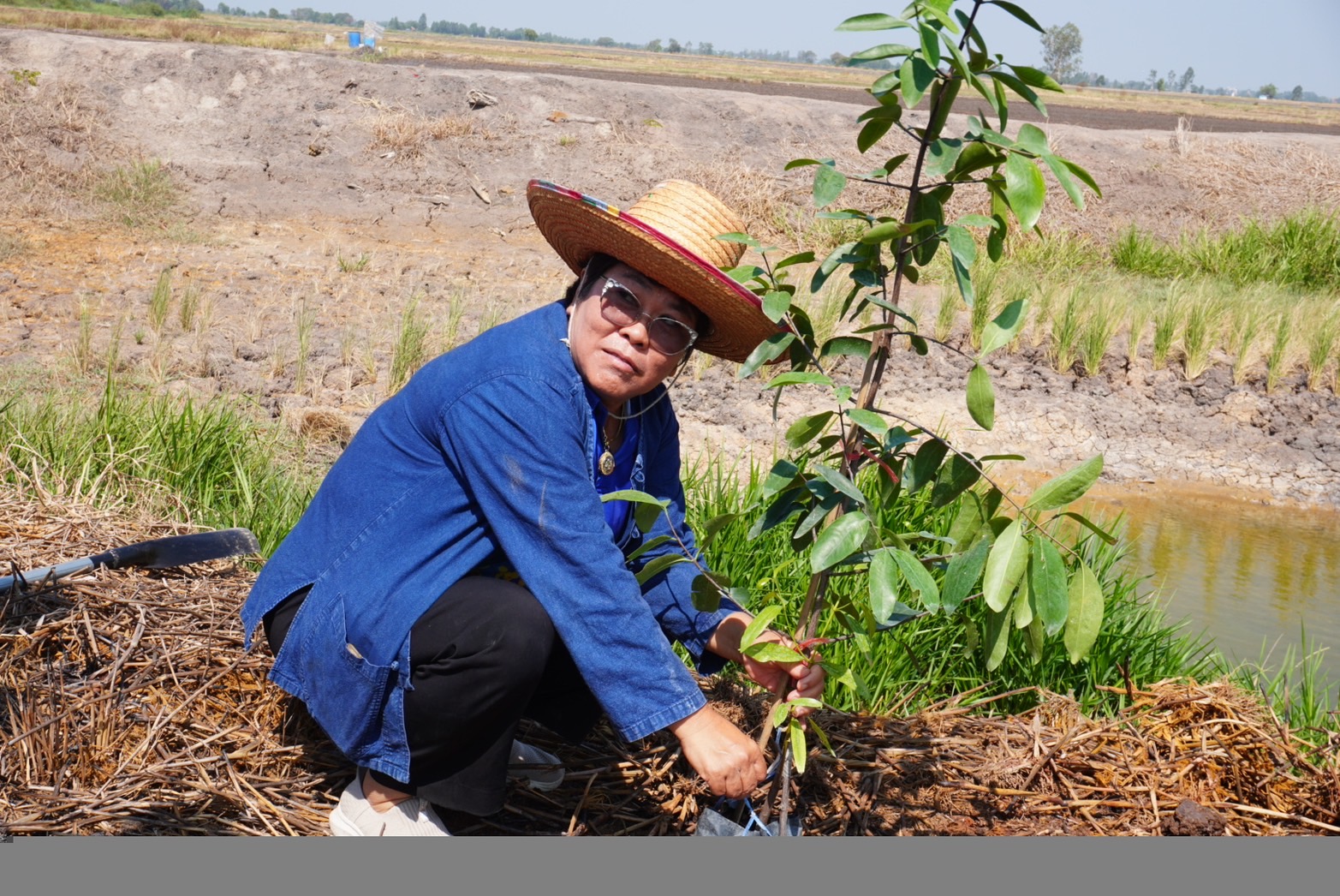 พช.อยุธยา จับมือเครือข่ายโคก หนอง นา จังหวัดพระนครศรีอยุธยา เดินหน้ากิจกรรมหิ้วปิ่นโตเอามื้อสามัคคี