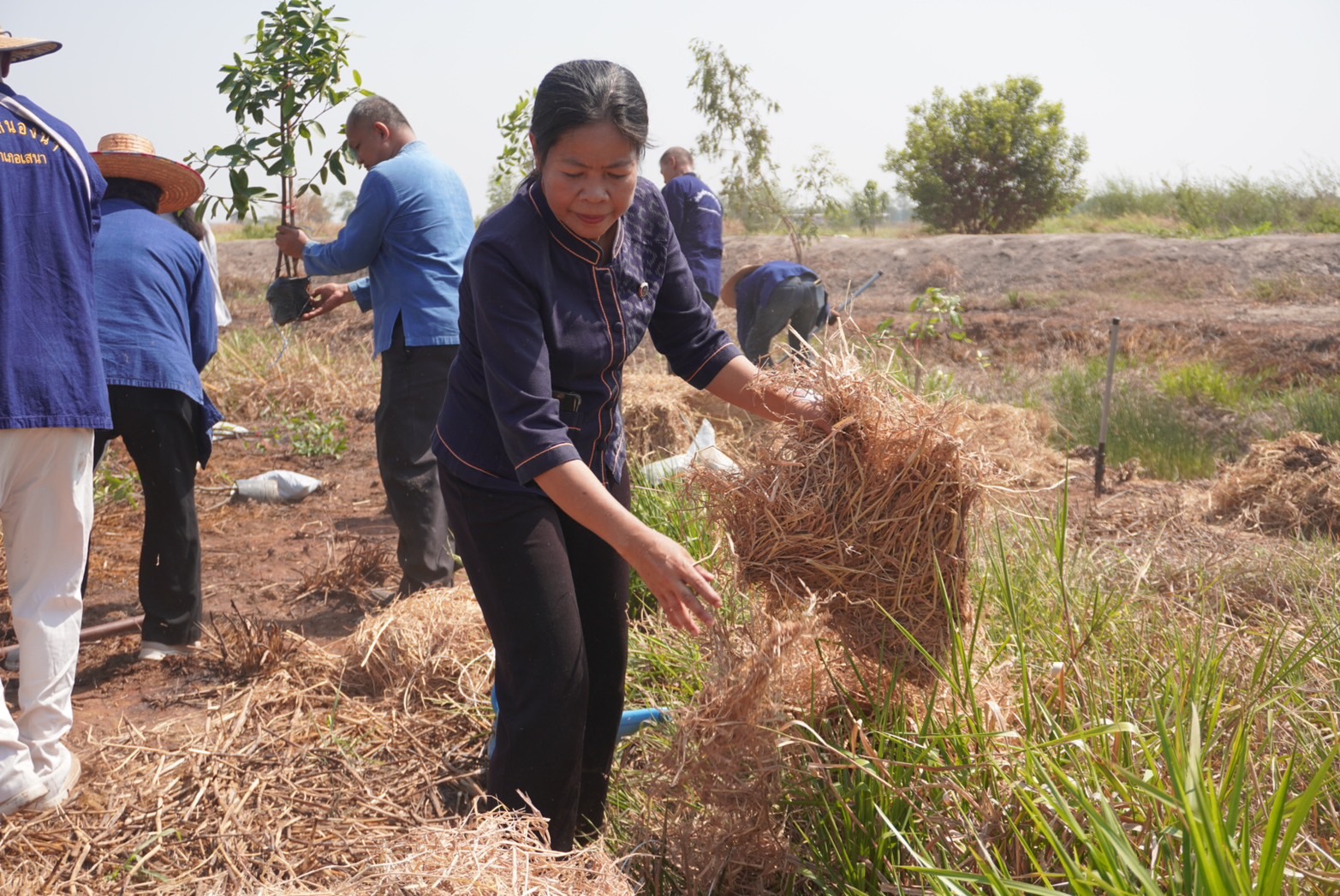 พช.อยุธยา จับมือเครือข่ายโคก หนอง นา จังหวัดพระนครศรีอยุธยา เดินหน้ากิจกรรมหิ้วปิ่นโตเอามื้อสามัคคี