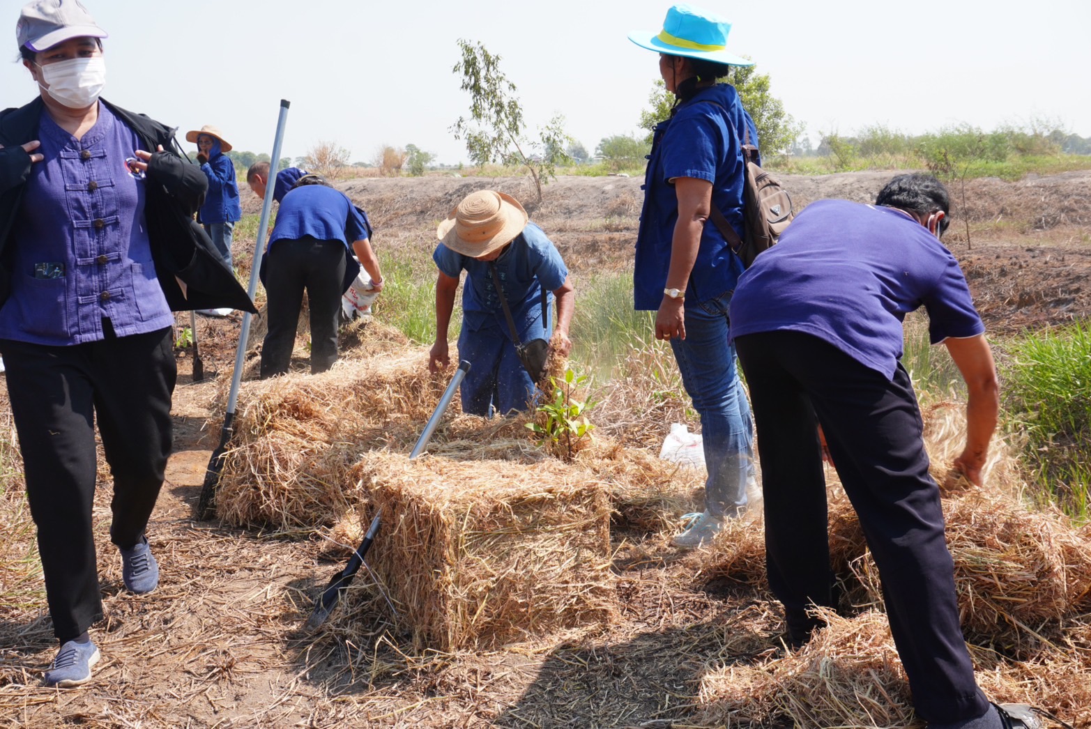 พช.อยุธยา จับมือเครือข่ายโคก หนอง นา จังหวัดพระนครศรีอยุธยา เดินหน้ากิจกรรมหิ้วปิ่นโตเอามื้อสามัคคี