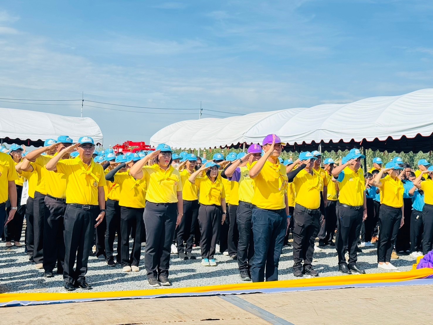 พช.กรุงเก่า ร่วมโครงการวันต้นไม้ประจำปีของชาติ พ.ศ.2567 เพื่อเทิดพระเกียรติ พระบาทสมเด็จพระปรเมนทรรามาธิบดีศรีสินทรมหาวชิราลงกรณ พระวิชรเกล้าเจ้าอยู่หัว