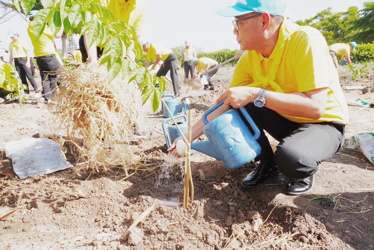 พช.กรุงเก่า ร่วมโครงการวันต้นไม้ประจำปีของชาติ พ.ศ.2567 เพื่อเทิดพระเกียรติ พระบาทสมเด็จพระปรเมนทรรามาธิบดีศรีสินทรมหาวชิราลงกรณ พระวิชรเกล้าเจ้าอยู่หัว