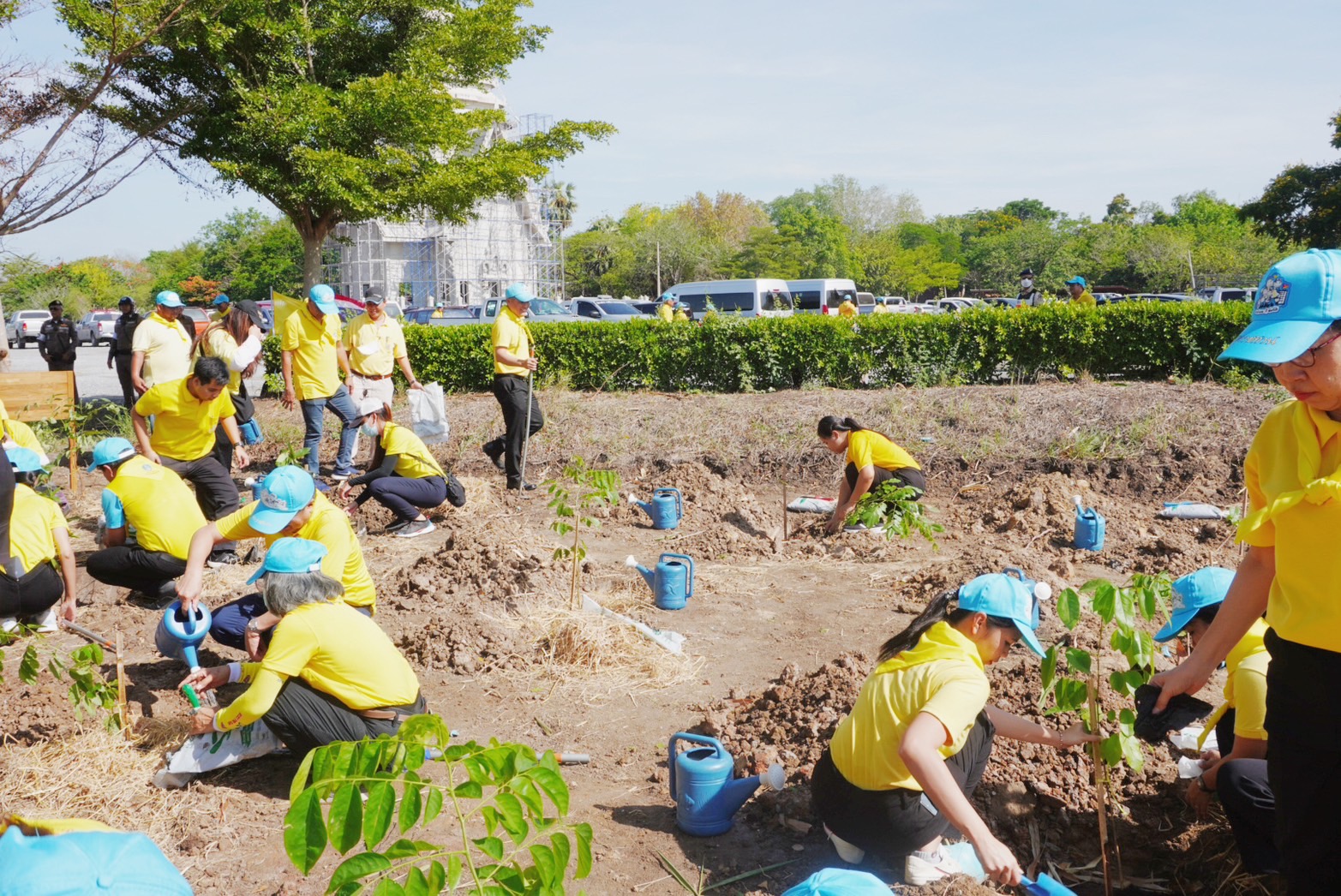 พช.กรุงเก่า ร่วมโครงการวันต้นไม้ประจำปีของชาติ พ.ศ.2567 เพื่อเทิดพระเกียรติ พระบาทสมเด็จพระปรเมนทรรามาธิบดีศรีสินทรมหาวชิราลงกรณ พระวิชรเกล้าเจ้าอยู่หัว