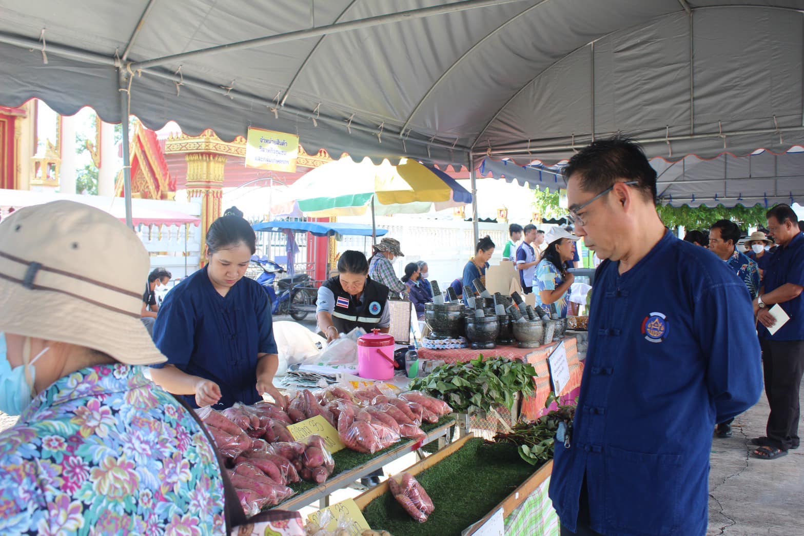 พช.กรุงเก่า ร่วมโครงการคลินิกเกษตรเคลื่อนที่ในพระราชานุเคราะห์ สมเด็จพระบรมโอรสาธิราชฯ สยามมกุฎราชกุมาร ประจำปี 2567 ครั้งที่ 3