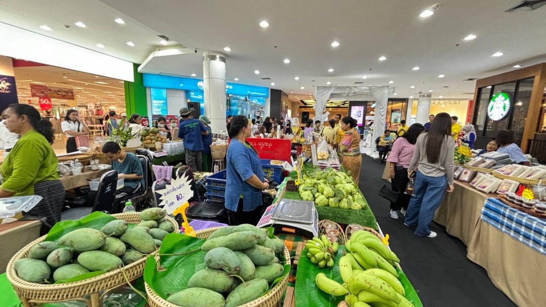 พช.อยุธยา จับมือบริษัทประชารัฐสามัคคีพระนครศรีอยุธยา Ayutthaya Farmer Market & Good food fair เพื่อส่งเสริมและเพิ่มช่องทางการตลาดผลิตภัณฑ์ชุมชน ณ ศูนย์การค้าอยุธยาซิตี้พาร์ค