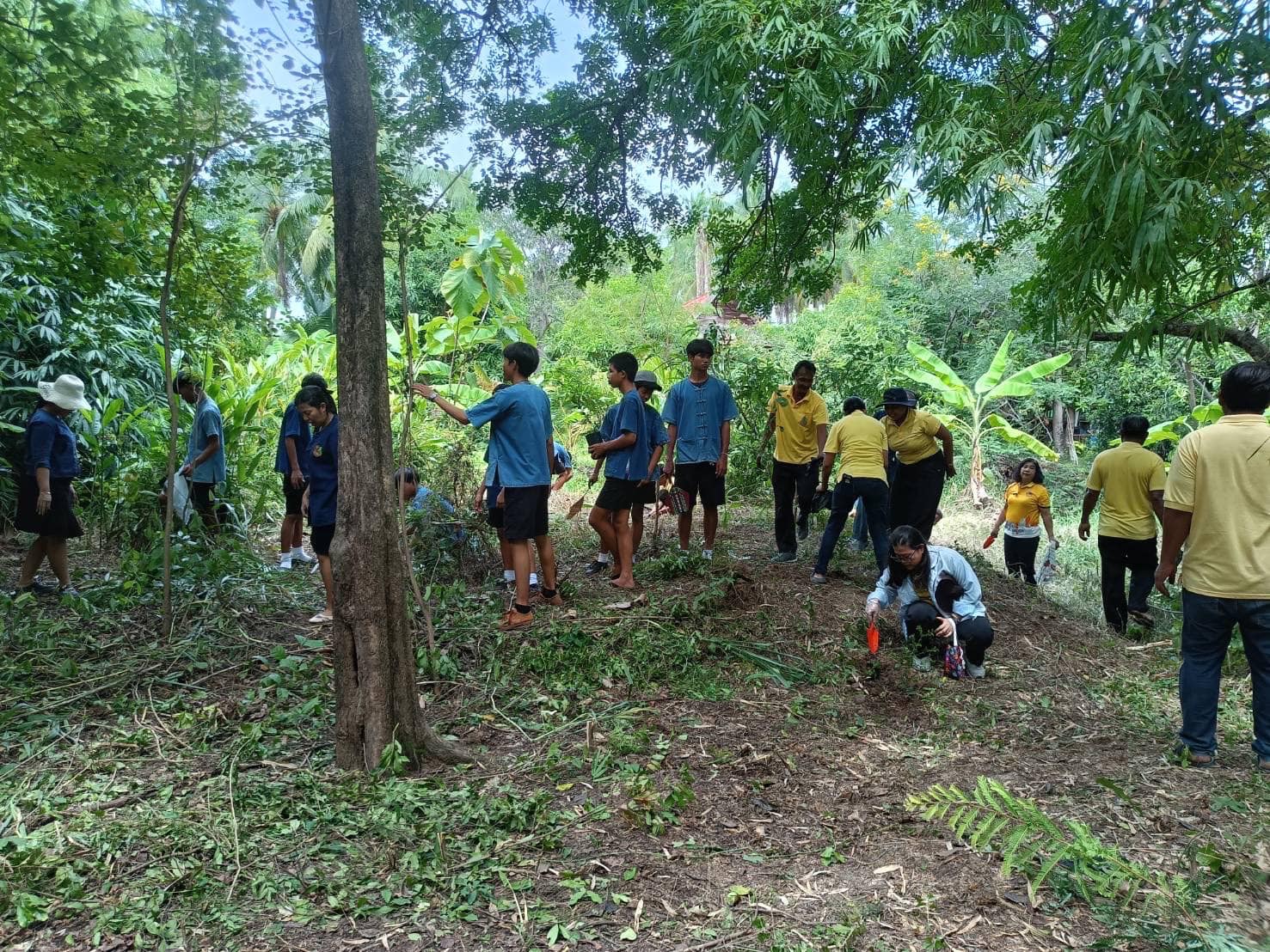 พช.กรุงเก่า ดำเนินโครงการส่งเสริมและสนับสนุนกิจกรรมอนุรักษ์พันธุกรรมพืช ตามโครงการอนุรักษ์พันธุกรรมพืชอันเนื่องมาจากพระราชดำริ สมเด็จพระเทพรัตนราชสุดาฯ สยามบรมราชกุมารี (อพ.สธ.)