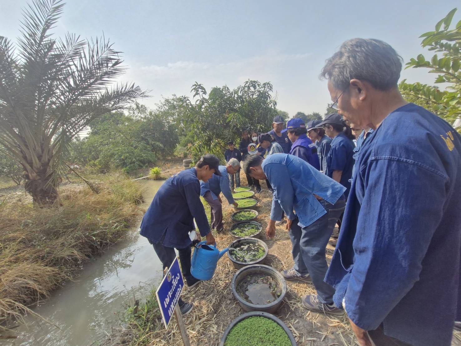 พช.อยุธยา ต้อนรับผู้ตรวจราชการกรมฯ ลงพื้นที่ร่วมกิจกรรม “โคก หนอง นา พาทัวร์” จังหวัดพระนครศรีอยุธยา
