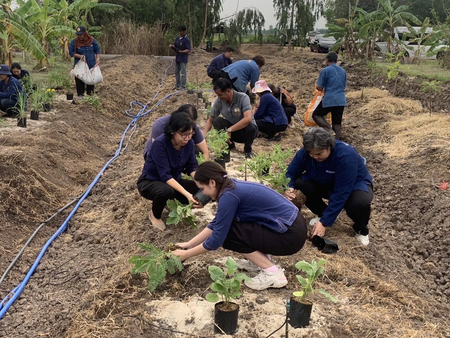 จังหวัดพระนครศรีอยุธยา จัดกิจกรรม KICK OFF “ผู้นำต้องทำก่อน“ ขับเคลื่อนการน้อมนำแนวพระราชดำริของสมเด็จพระกนิษฐาธิราชเจ้า กรมสมเด็จพระเทพรัตนราชสุดา ฯ สยามบรมราชกุมารี ปลูกผักสวนครัว เพื่อสร้างความมั่นคงทางอาหาร