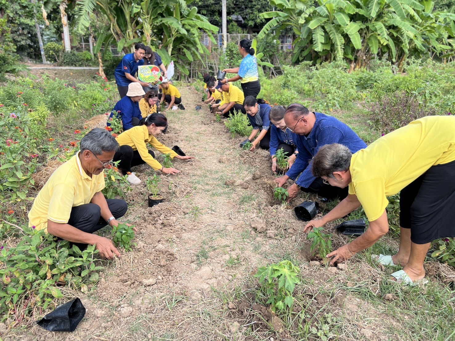 พช.อยุธยา ดำเนินโครงการส่งเสริม กิจกรรมทางนี้มีผล ผู้คนรักกัน ณ ตำบลลาดน้ำเค็ม อำเภอผักไห่🪴