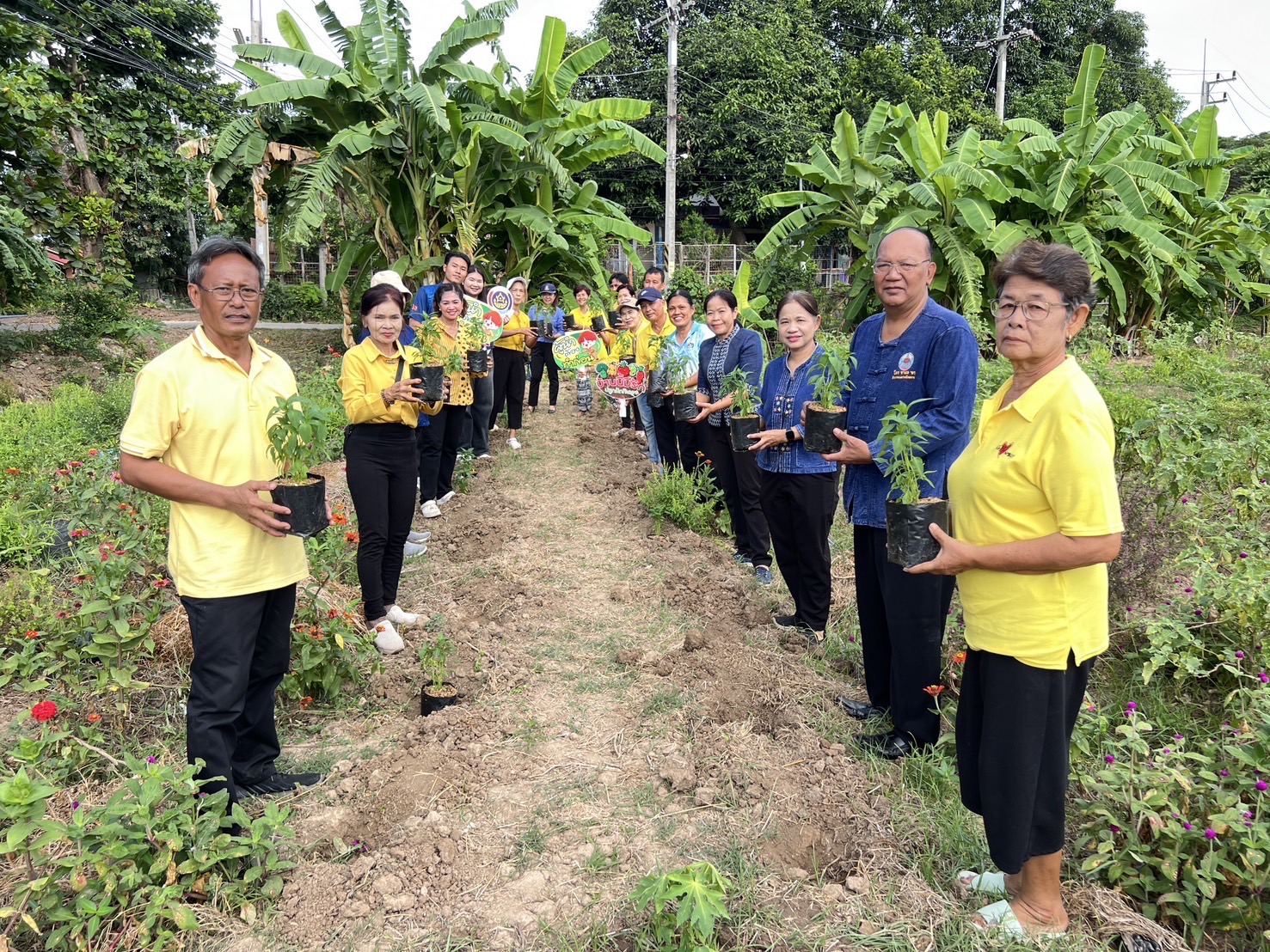 พช.อยุธยา ดำเนินโครงการส่งเสริม กิจกรรมทางนี้มีผล ผู้คนรักกัน ณ ตำบลลาดน้ำเค็ม อำเภอผักไห่🪴