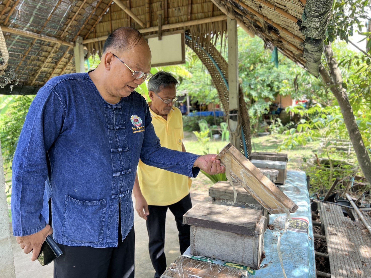 พช.อยุธยา ดำเนินโครงการส่งเสริม กิจกรรมทางนี้มีผล ผู้คนรักกัน ณ ตำบลลาดน้ำเค็ม อำเภอผักไห่🪴
