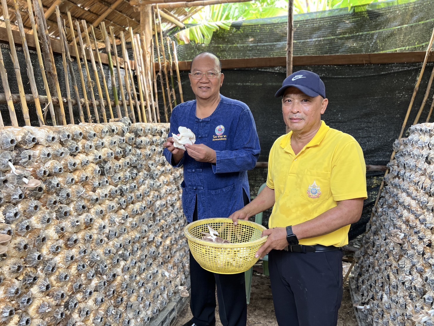พช.อยุธยา ดำเนินโครงการส่งเสริม กิจกรรมทางนี้มีผล ผู้คนรักกัน ณ ตำบลลาดน้ำเค็ม อำเภอผักไห่🪴