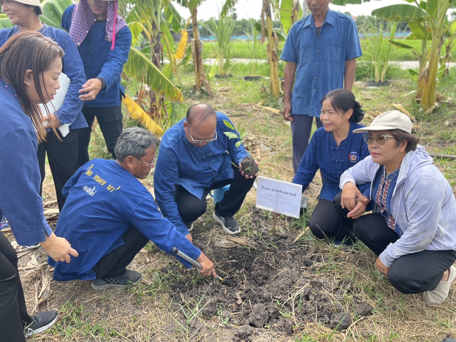 พช.อยุธยา จัดกิจกรรม “โคก หนอง นา พาทัวร์” จังหวัดพระนครศรีอยุธยา ณ อำเภอบางซ้าย🪴