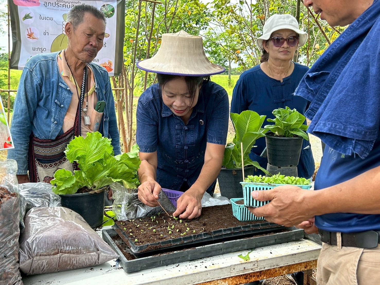 พช.อยุธยา จัดกิจกรรม “โคก หนอง นา พาทัวร์” จังหวัดพระนครศรีอยุธยา ณ อำเภอภาชี🪴