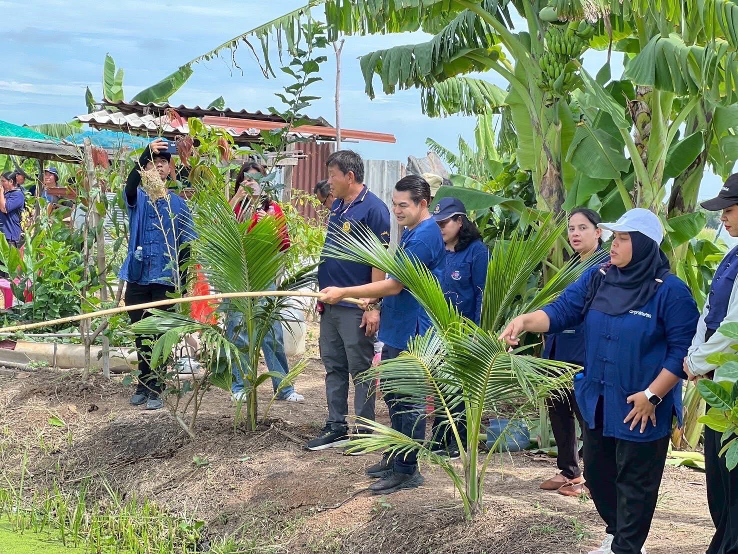 พช.อยุธยา จัดกิจกรรม “โคก หนอง นา พาทัวร์” จังหวัดพระนครศรีอยุธยา ณ อำเภอวังน้อย🪴